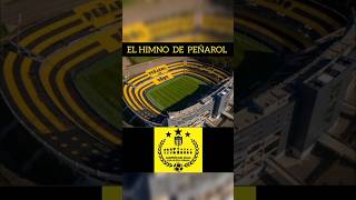 EL HIMNO DE PEÑAROL🖤💛 Dejen Predicciones #parati   #libertadores #viralshorts