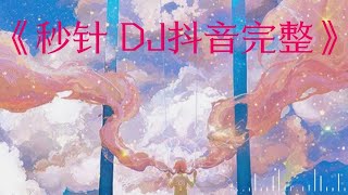 阿梨奥-- 秒针（DJ抖音版）【雨一夜深深 沉默的秒针】