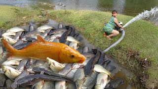 Wild Fishing Life, Catch Many Of Fish In The Lake, Use Large Capacity Pump Suck Water