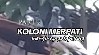 Ngawang kemaleman sampai gak pulang | PART 2