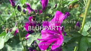 Blühparty  10.7.19 - Wir machen Göttingen bunter