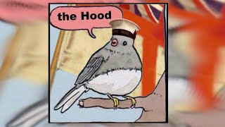 The Hood VS The Bismarck - annoyed bird meme