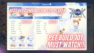 PET GUIDE for Ragnarok Origin Global // Pet Combination - F2P PET bonus stats // Tutorial Guide!