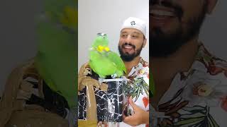 ببغاء أمازون يرقص على اسمو 🤣 #moshab_vlog #سوق_قريعة_للطيور #سوق_طيور_طنجة #سوق_حيوناة #ببغاء_يتكلم