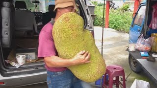 BIG BUSINESS || Why This Exotic Largest Fruit Is So Expensive And Has Huge Demand?