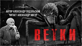 ВЕТКИ. Рассказ ужасов. Автор Александр Подольский, читает Александр Авгур | АРХИВЫ ССК