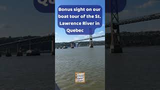 Bonus sight on our boat tour of the St. Lawrence River in Quebec City #montmorency #quebeccity #boat