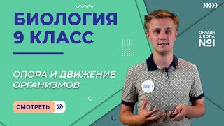 Опора и движение организмов. Видеоурок 13. Биология 9 класс