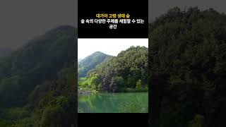 고령 관광명소 10