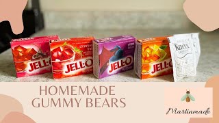 Homemade Gummy Bears | Easy Recipe | MARTINMADE