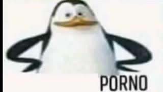 penguins porno meme