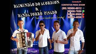 CACHAÇA BOA RAIMUNDÃO DO ACORDEON E BANDA FORRO PIZADO 2018 VOL 1