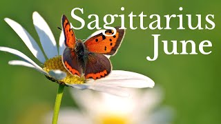 SAGITTARIUS JUNE 2024 / The importance of decision making; without devastating results!....