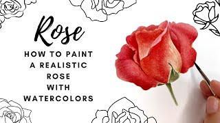 How To Paint a Realistic Rose with Watercolors 🌹 Red Rose Painting 🌹 Botanical Watercolor Painting