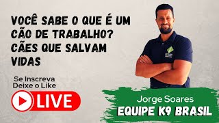 Você sabe o que é um CÃO DE TRABALHO? Conhece os CÃES QUE SALVAM VIDAS?