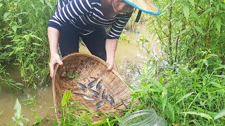 Village Girl catches River Fish for family cooking