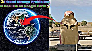 I found Strange Prairie Dog in Real life on Google Earth🌎 Maps🗺️ #shorts #viral #googleeartha2z