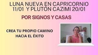 Luna Nueva en Capricornio y Plutón Cazimi por signos y casas