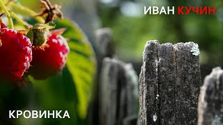 Иван Кучин - Кровинка