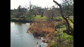 The lake in the Botanical garden in Copenhagen Denmark