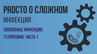 PROСТО О СЛОЖНОМ Туляремия, ч.1,  Инфекционные болезни №8