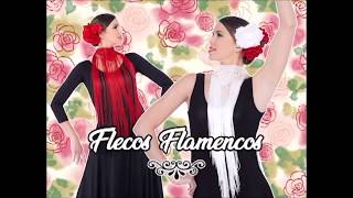 Nueva colección flecos flamencos 2018