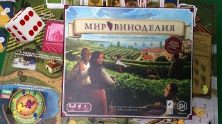 Мир виноделия I Играем в настольную игру. Viticulture World Cooperative Expansion board game.