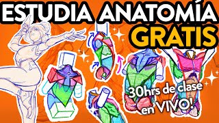 🤸Dibuja Anatomía en Acción  🌟NUEVA CLASE de DIBUJO🌟