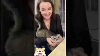 Cute animals - Funny actions