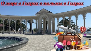 АБХАЗИЯ О МОРЕ В ГАГРАХ О ПАЛЬМЫ В ГАГРАХ