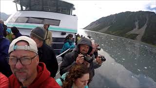 Kenai Fjords National Park tour | Up close with Aialik glacier.