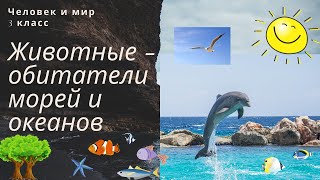 Животные -  обитатели морей и океанов. Человек и мир. 3  класс