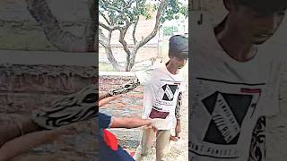 Kisi bilding se gir jata ll attitude boy new status ll viral short video