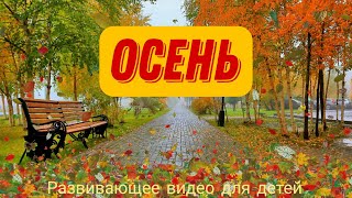 🍁 ОСЕНЬ. Лексическая тема "ОСЕНЬ". Признаки осени для детей. Развивающее видео.