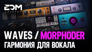 Waves Morphoder - Создание гармонии вокодером 🔥🎙