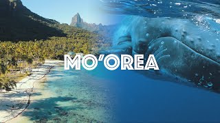 30 DAYS in MOOREA