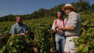 UNE JOURNÉE AU DOMAINE DU CELLIER AUX MOINES