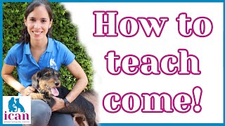 COME when CALLED: BEST way to TEACH a puppy or adult dog TO COME when called ANYWHERE!