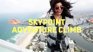 Scoot to Gold Coast - Adventure