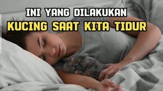 MITOS ATAU FAKTA || INI YANG KUCING LAKUKAN KETIKA KITA TIDUR