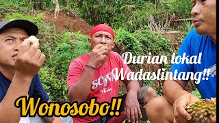 Ketemu pengemar di kasih durian, katanya habis panen!! Durian kuning rasanya luar biasa!!