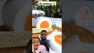 Cat cooking 🐈😋🍊🫒🍓🍇 #cookingcat #cat #supercatchef #cute #catlover #viralvideo #reels #viralshorts