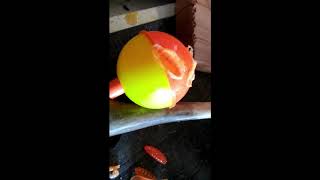 Artificial  bait eats a hole in a fishing bobber