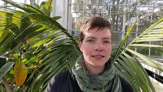 Why are some plants toxic?  Susanne Schilling  |  University College Dublin