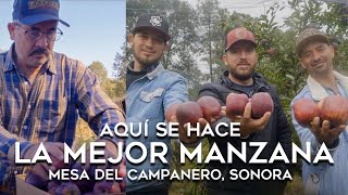 La HISTORIA DETRÁS de la MEJOR MANZANA de MÉXICO |  EL DOCUMENTAL de MESA del  CAMPANERO SIERRA ALTA