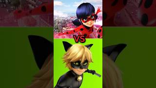 Ladybug VS Cat noir / Simply Eshal