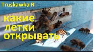 #Пчёлы. Как открывать летки на протяжении всего сезона. Верхние или нижние.