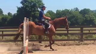 American hunter derby prospect