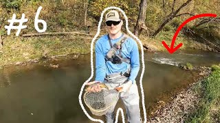 Fall Frenzy - Fly Fishing for Colorful Driftless Trout