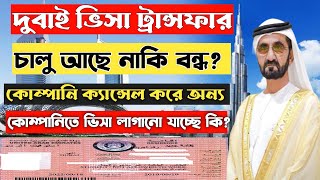 dubai visa transfer। dubai visa transfer for bangladeshi। dubai visa transfer news। দুবাই ভিসা